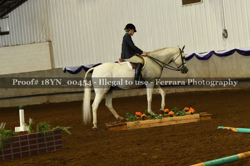Proof 18YN_00454