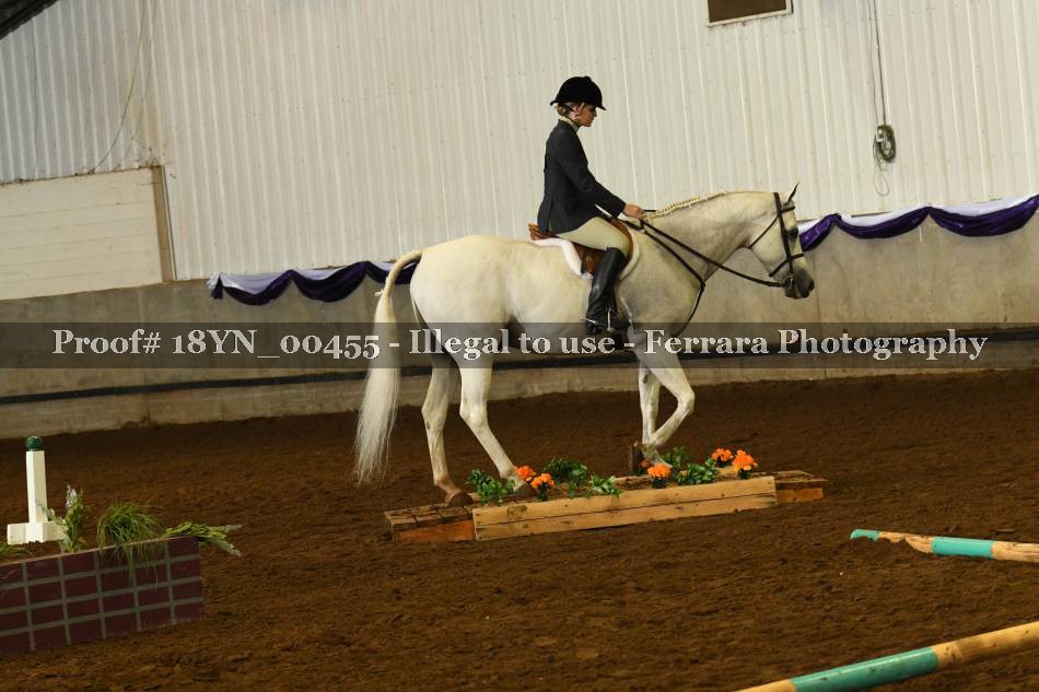 Proof 18YN_00455