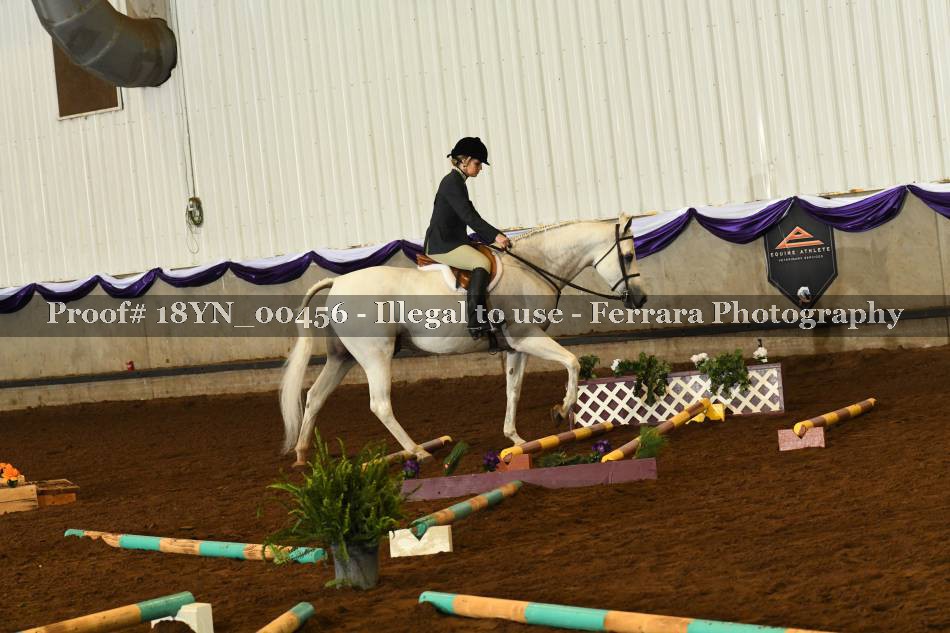 Proof 18YN_00456