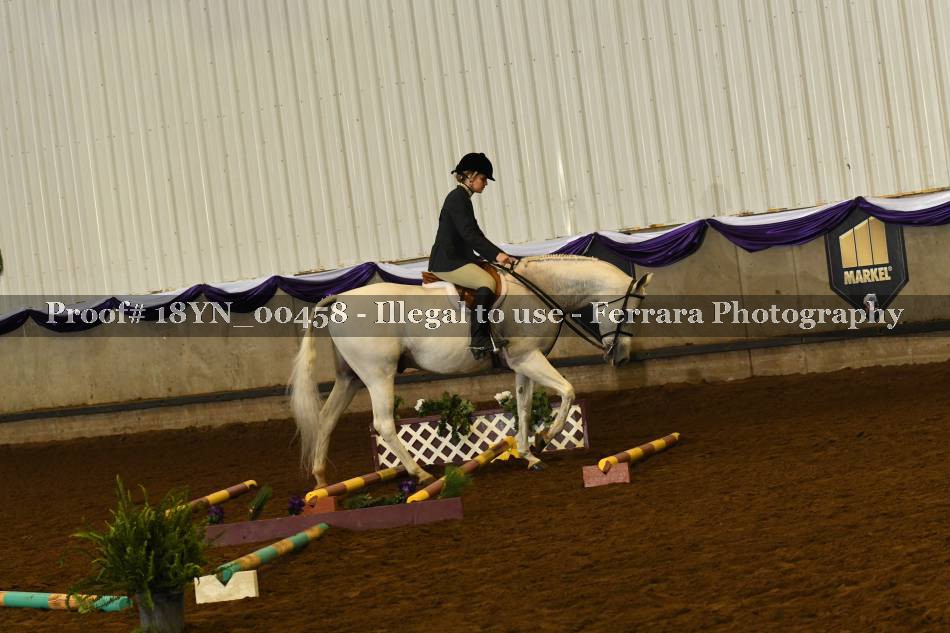 Proof 18YN_00458