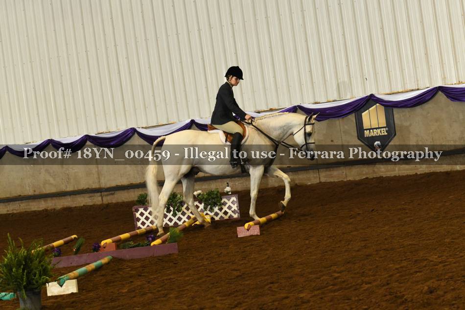 Proof 18YN_00459