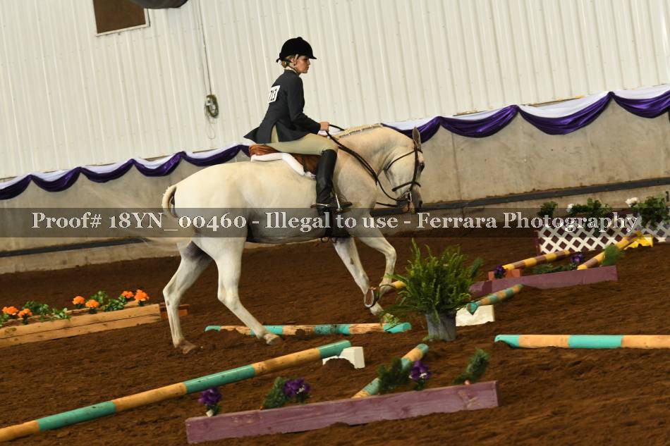 Proof 18YN_00460