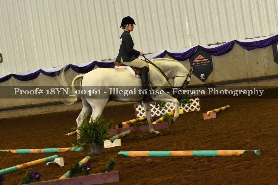 Proof 18YN_00461