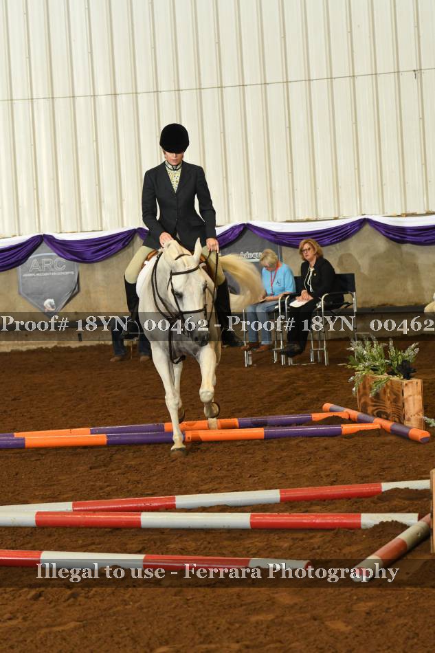 Proof 18YN_00462