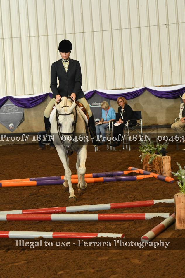 Proof 18YN_00463