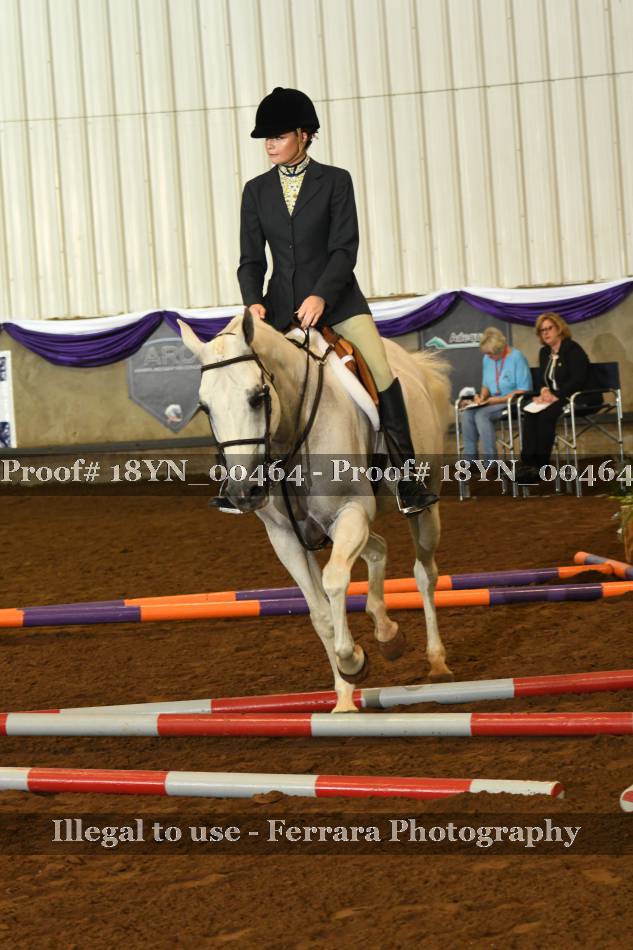 Proof 18YN_00464