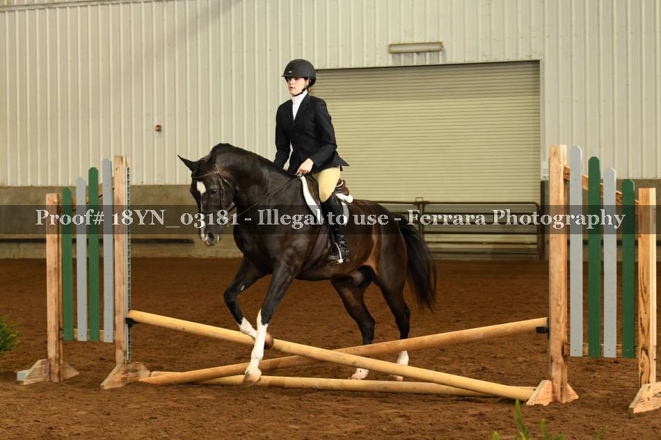 Proof 18YN_03181