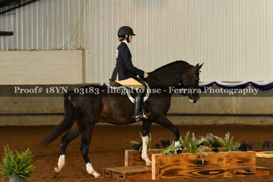 Proof 18YN_03183