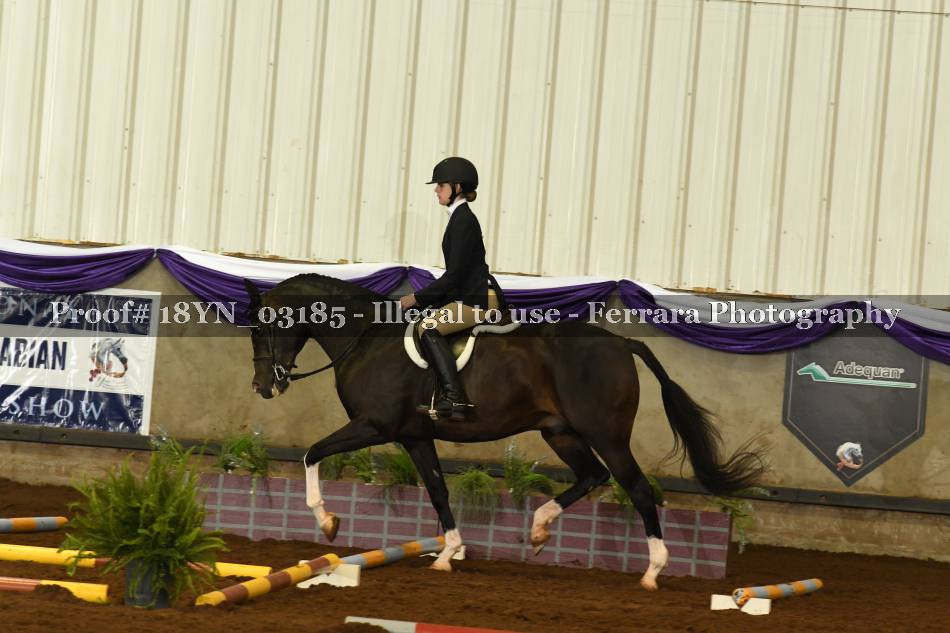 Proof 18YN_03185