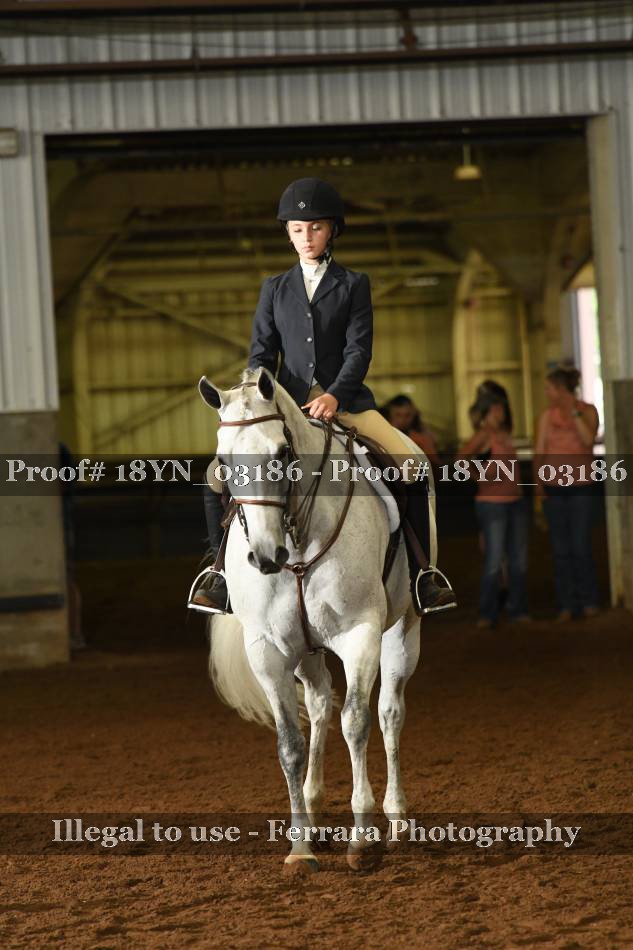 Proof 18YN_03186
