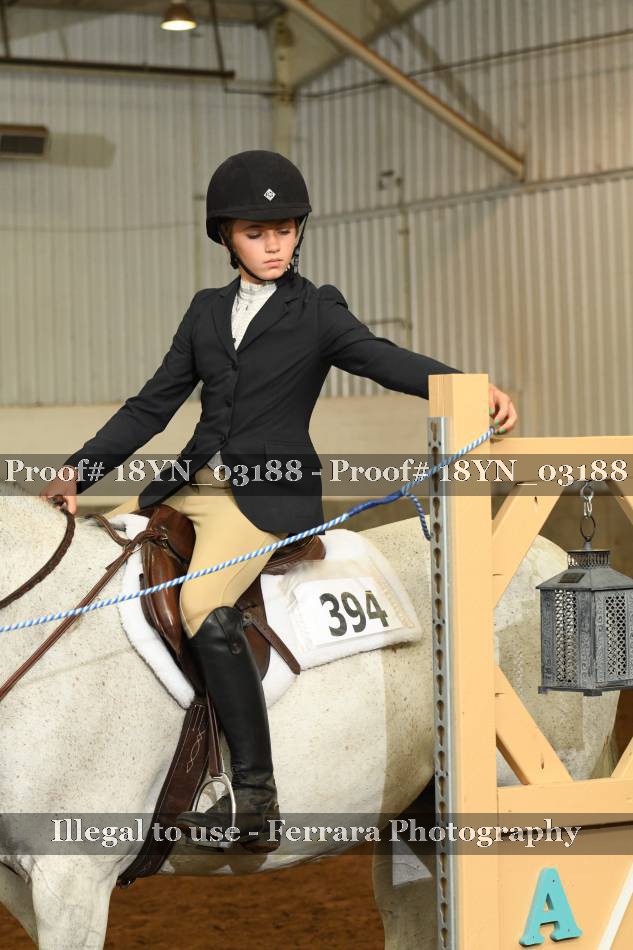 Proof 18YN_03188