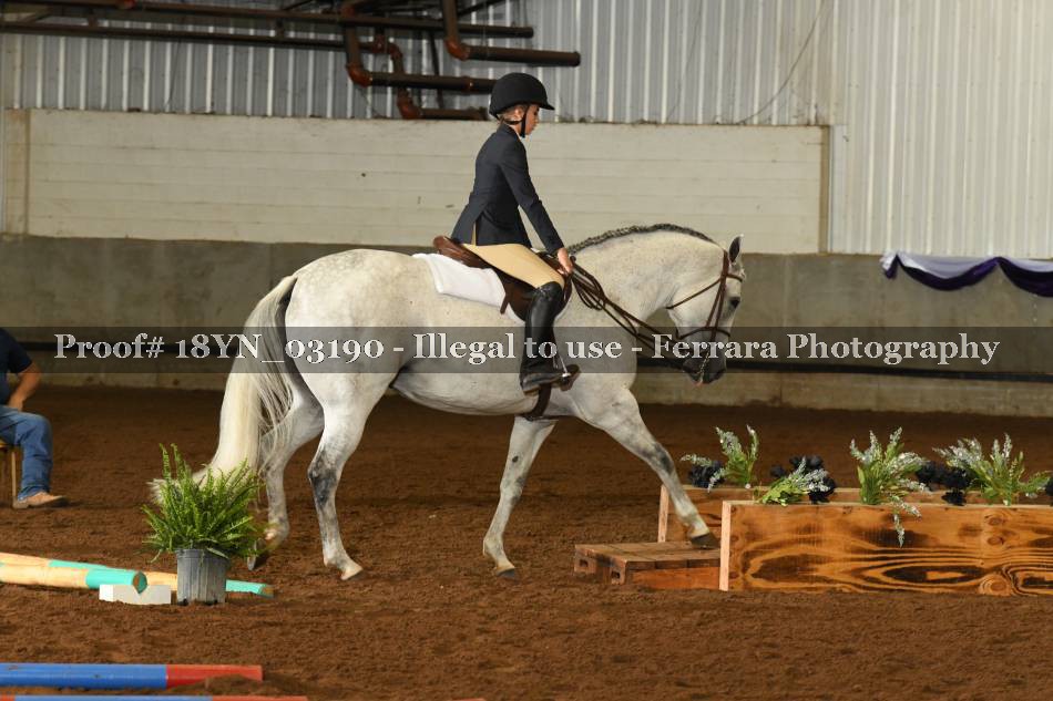 Proof 18YN_03190