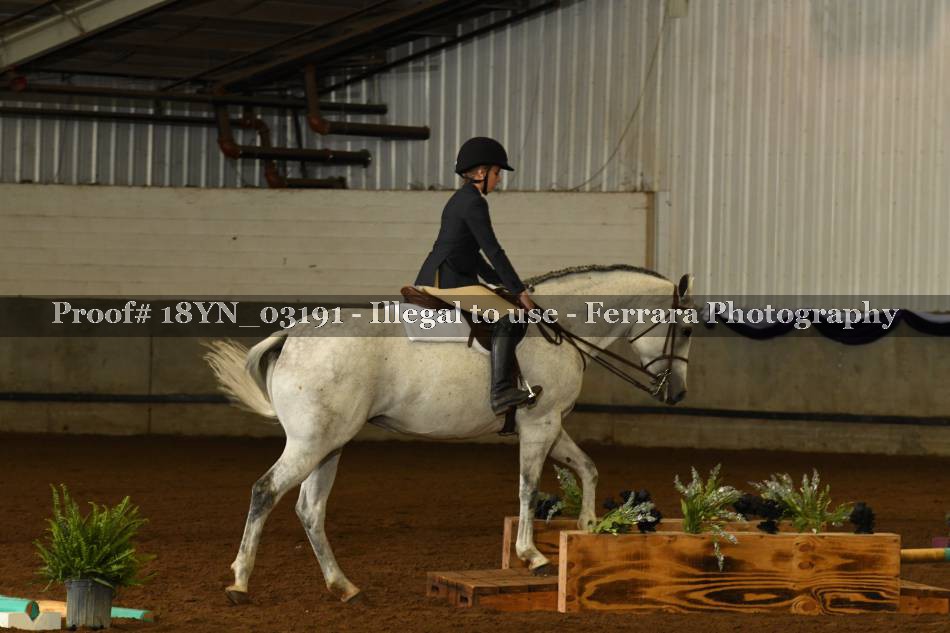 Proof 18YN_03191