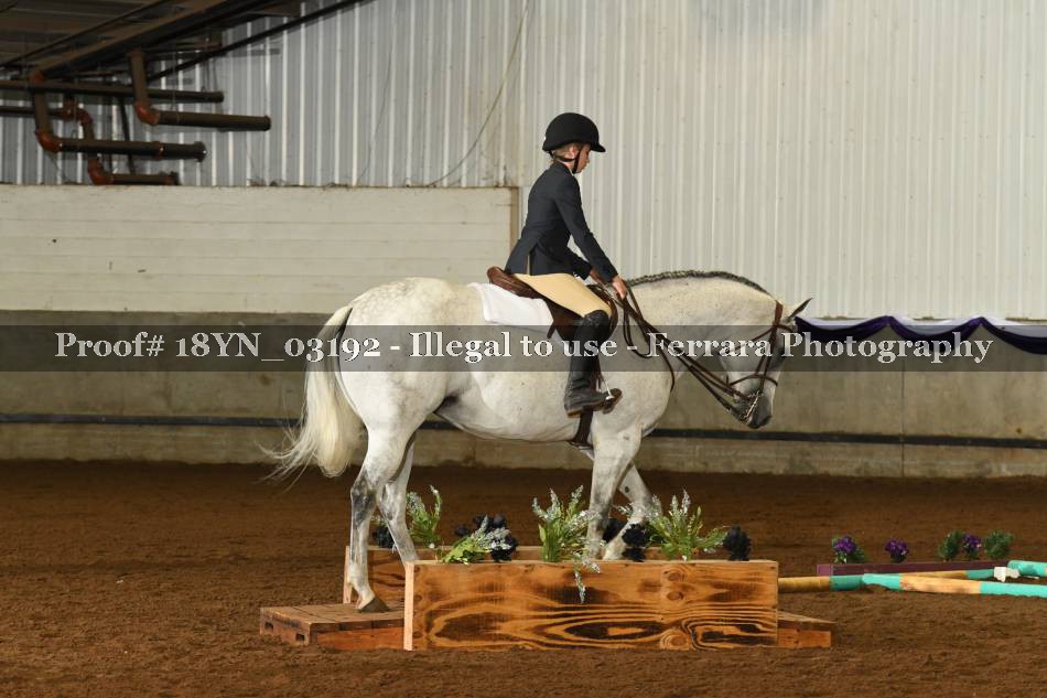 Proof 18YN_03192