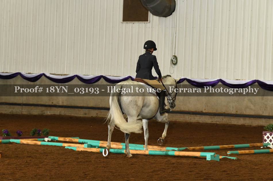 Proof 18YN_03193