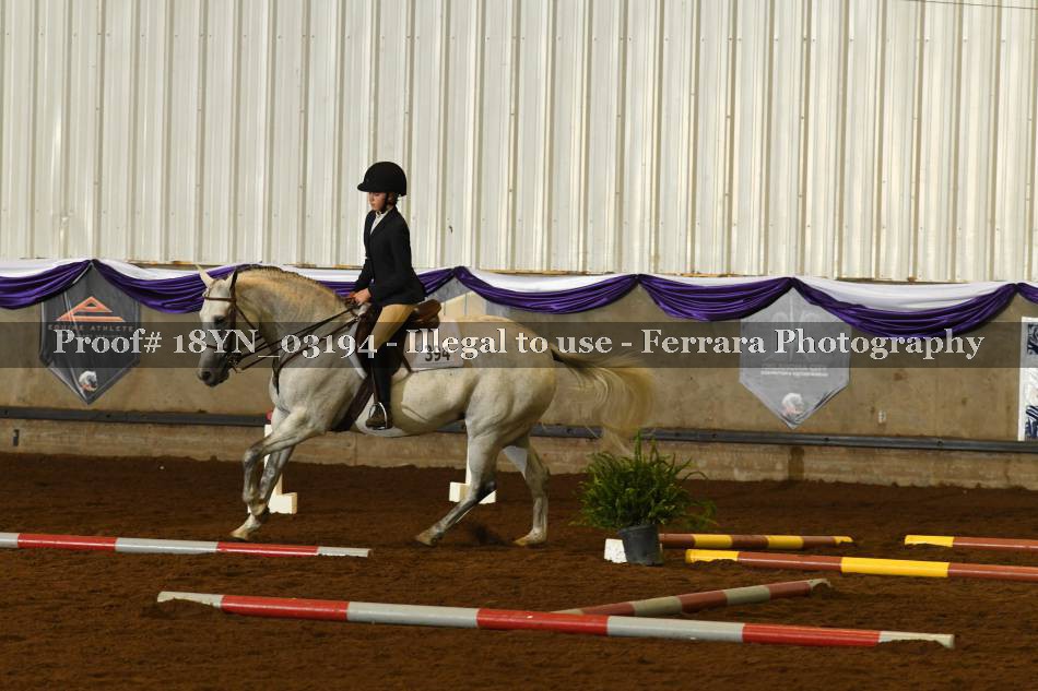 Proof 18YN_03194