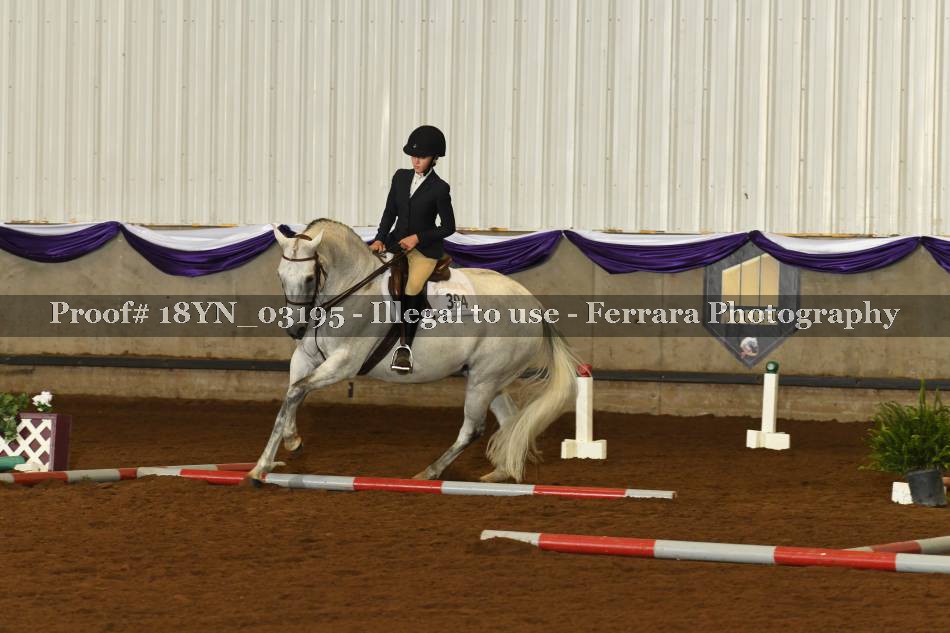 Proof 18YN_03195
