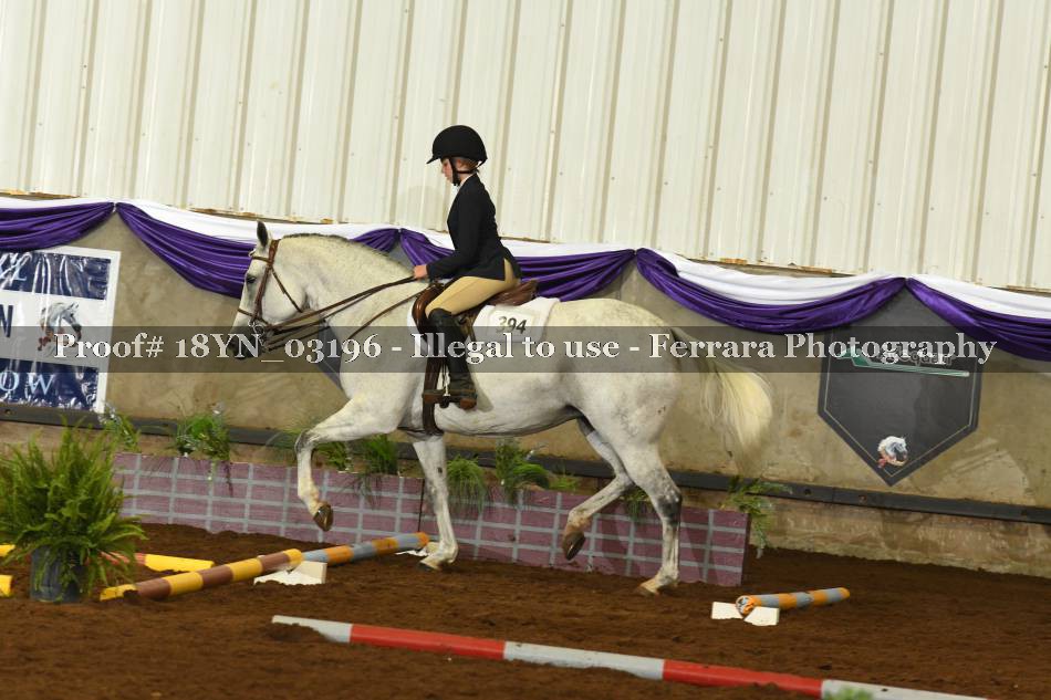 Proof 18YN_03196