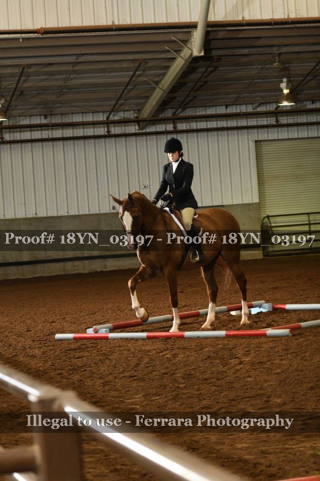 Proof 18YN_03197