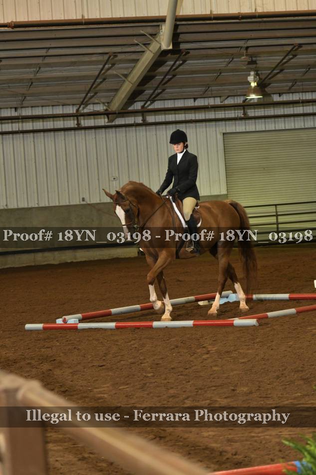 Proof 18YN_03198