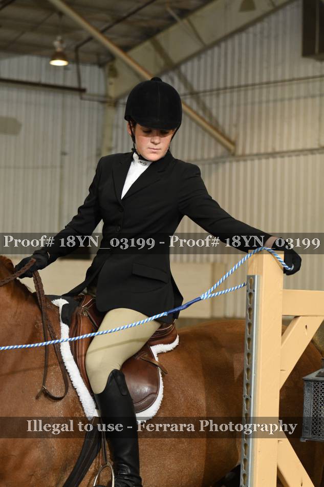 Proof 18YN_03199