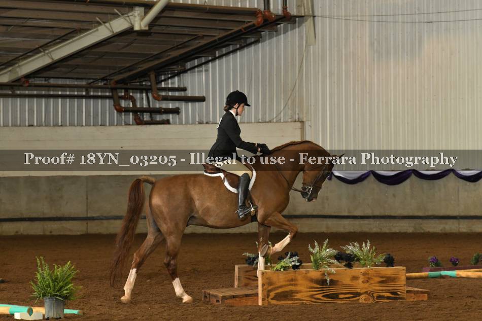 Proof 18YN_03205