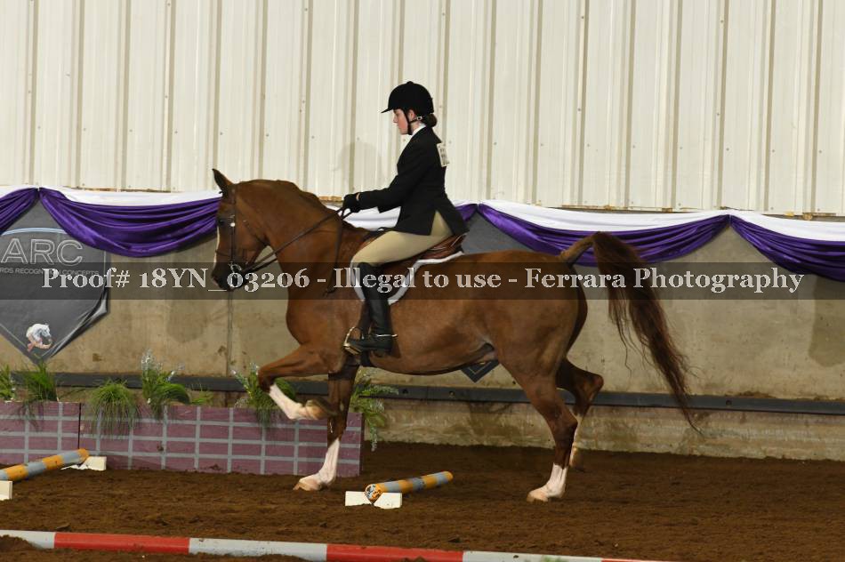 Proof 18YN_03206