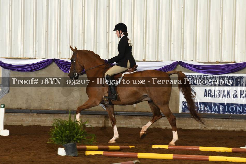 Proof 18YN_03207