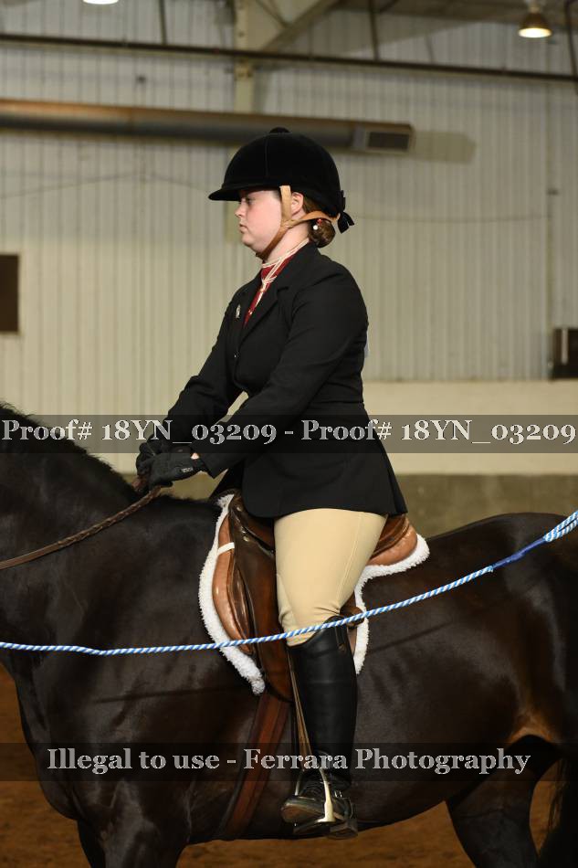 Proof 18YN_03209