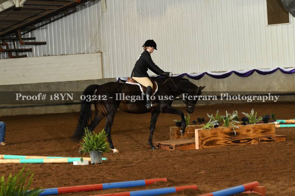 Proof 18YN_03212