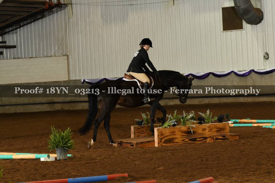 Proof 18YN_03213