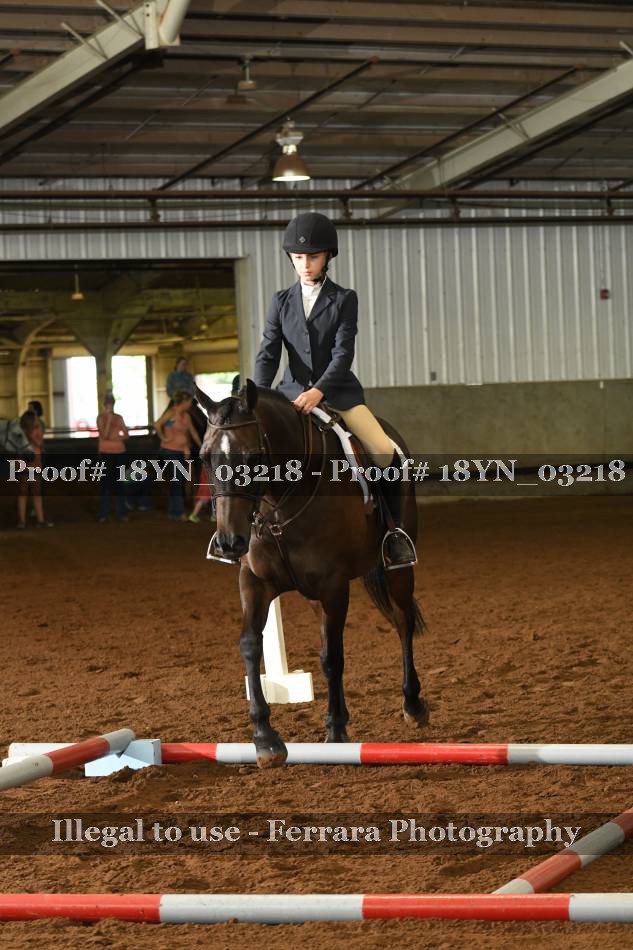 Proof 18YN_03218