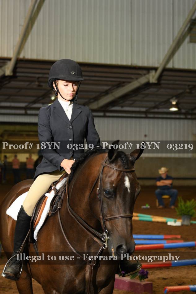 Proof 18YN_03219