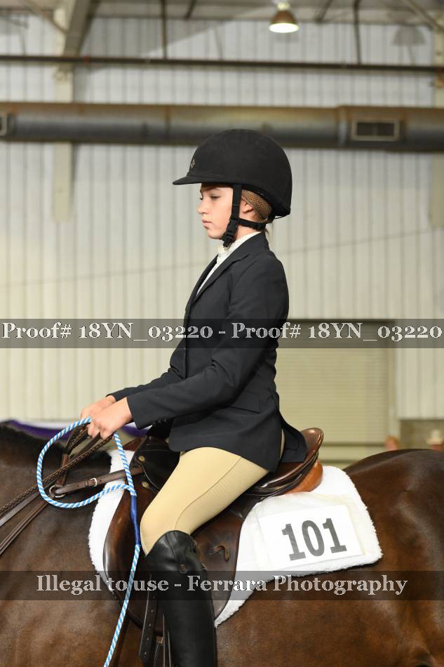Proof 18YN_03220
