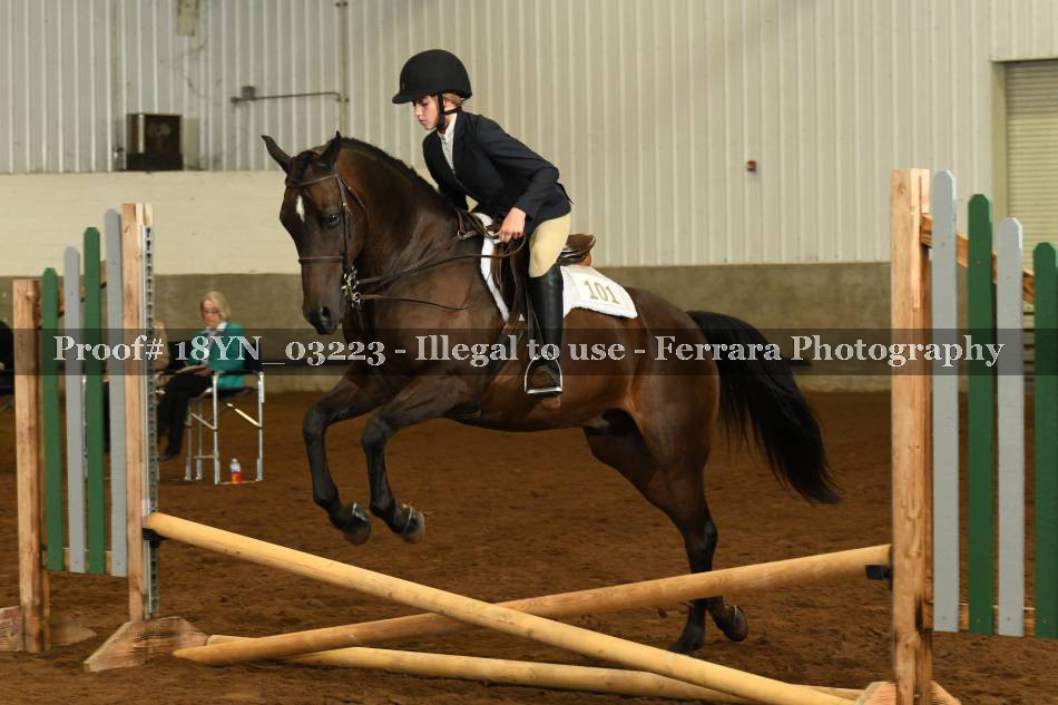 Proof 18YN_03223