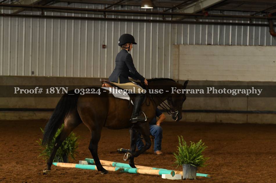 Proof 18YN_03224