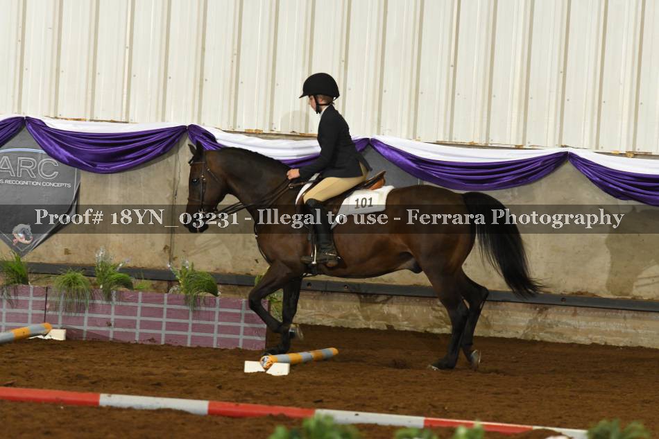 Proof 18YN_03231