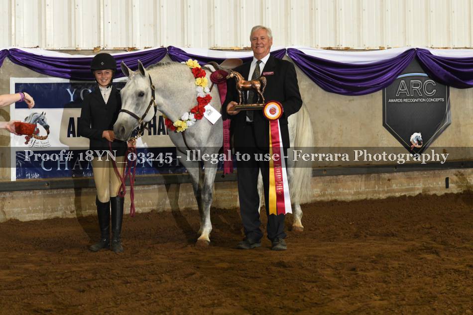 Proof 18YN_03245