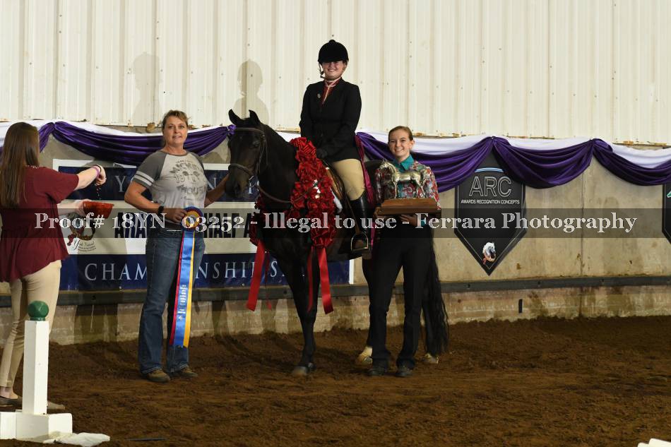 Proof 18YN_03252