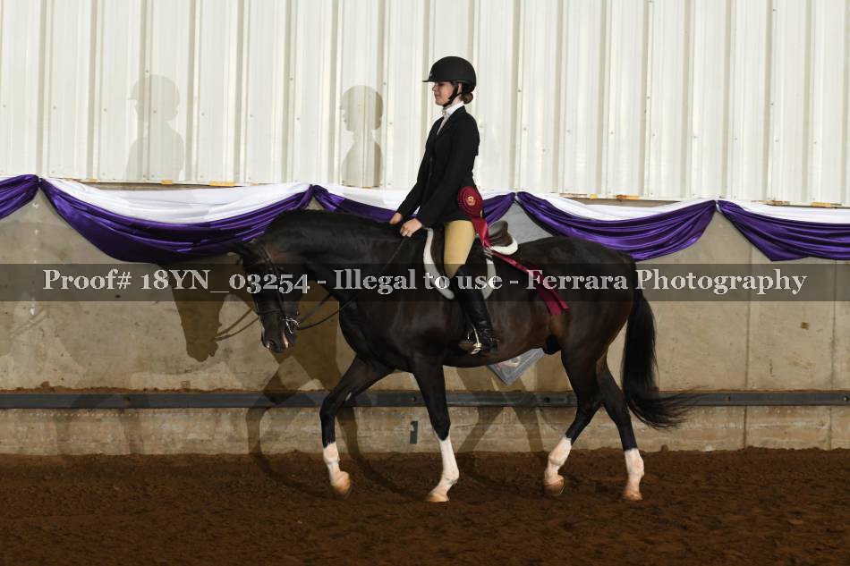 Proof 18YN_03254