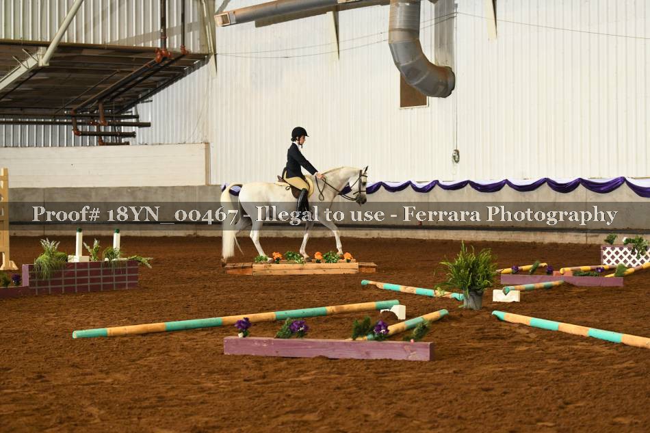 Proof 18YN_00467