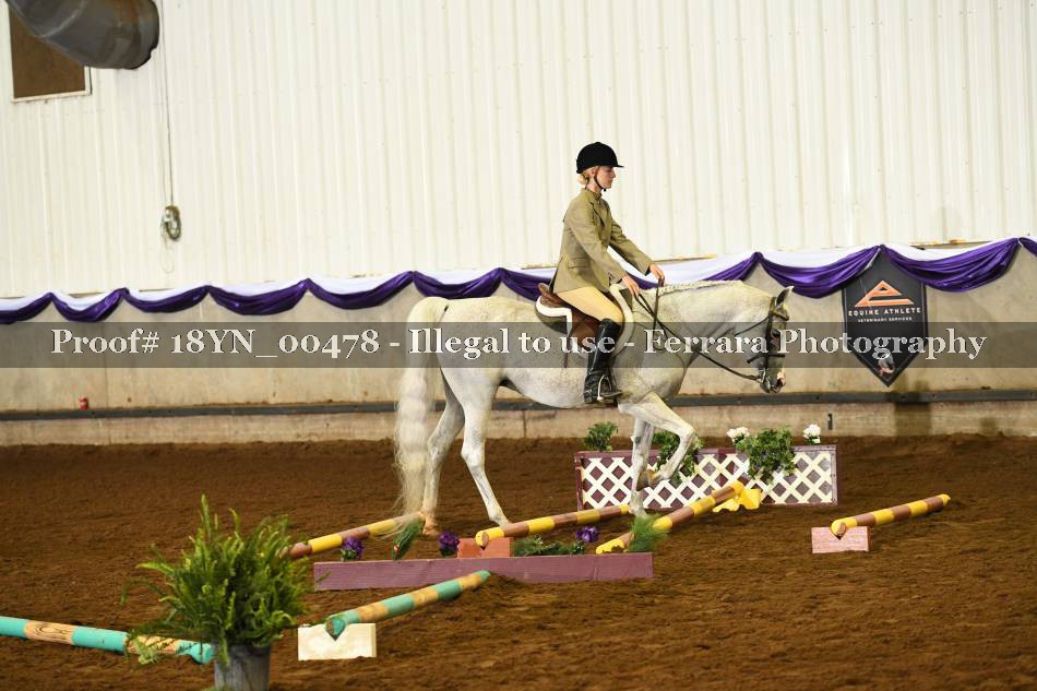 Proof 18YN_00478