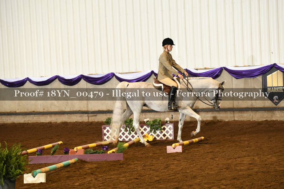 Proof 18YN_00479