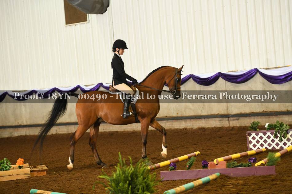 Proof 18YN_00490