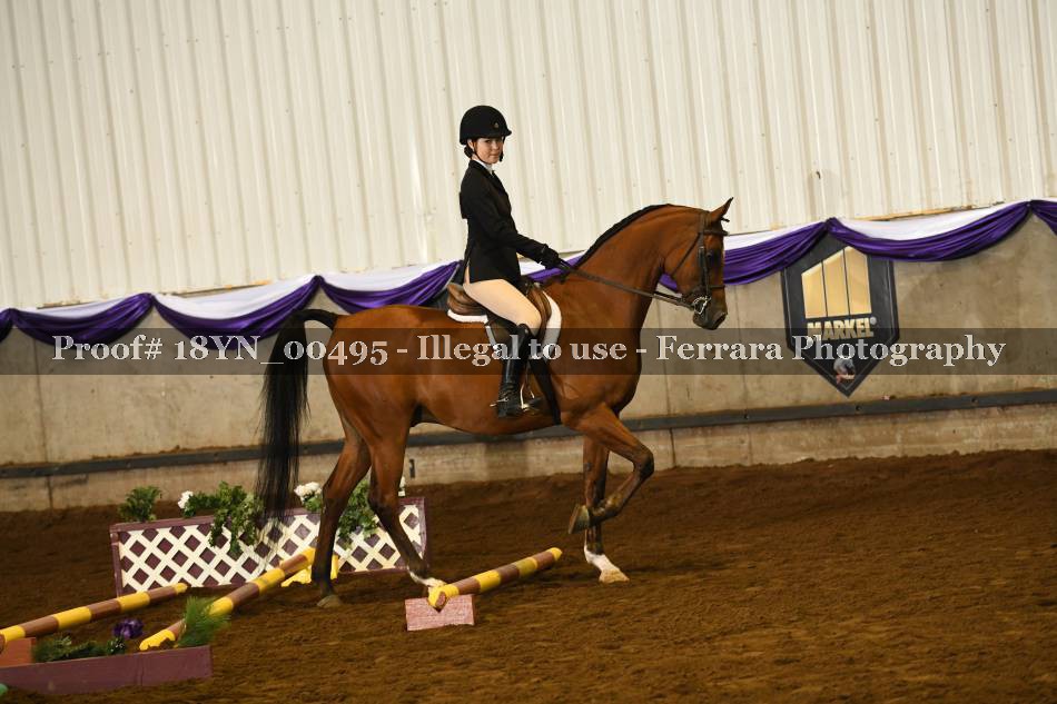 Proof 18YN_00495