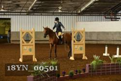 18YN_00501 proof
