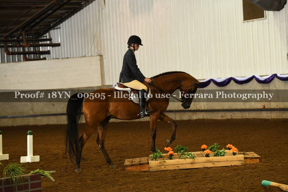 Proof 18YN_00505