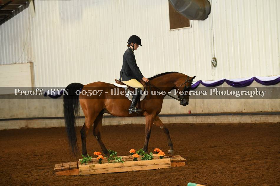 Proof 18YN_00507