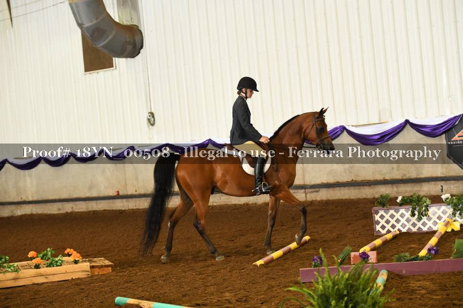 Proof 18YN_00508