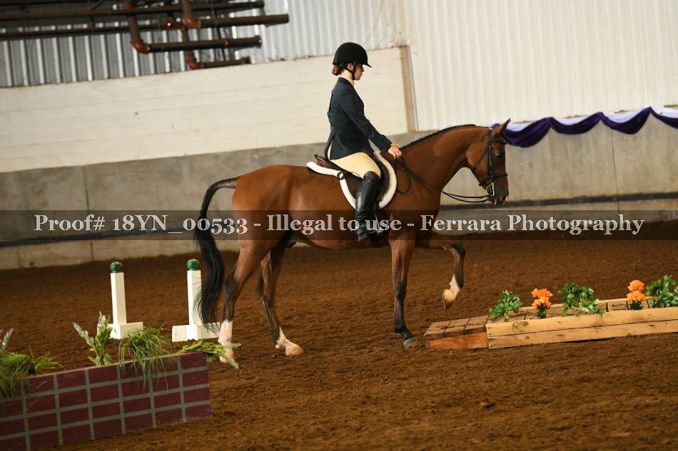 Proof 18YN_00533